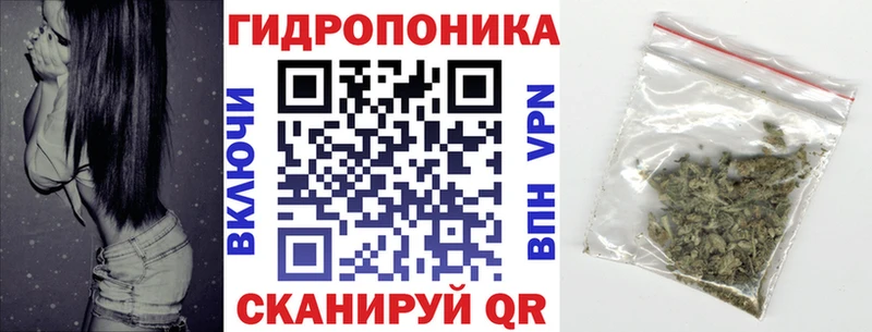 наркотики  Пудож  Бошки марихуана SATIVA & INDICA 